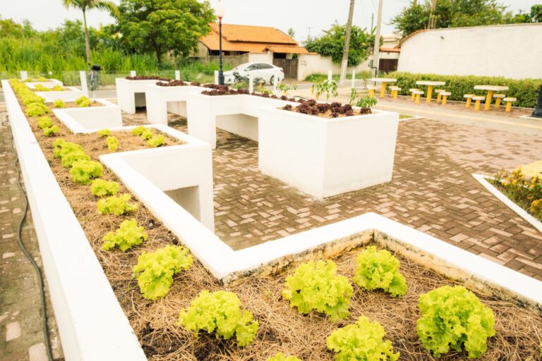 Praça Agroecológica 1