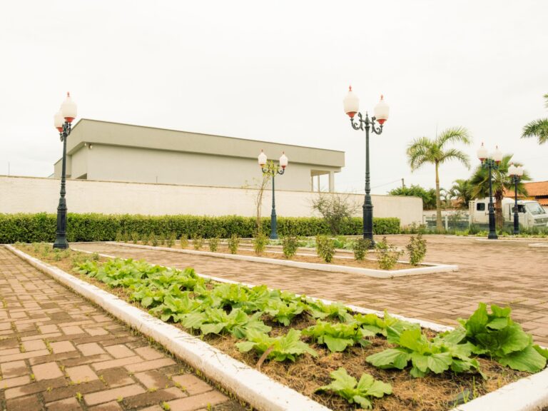 praça agroecológica 2